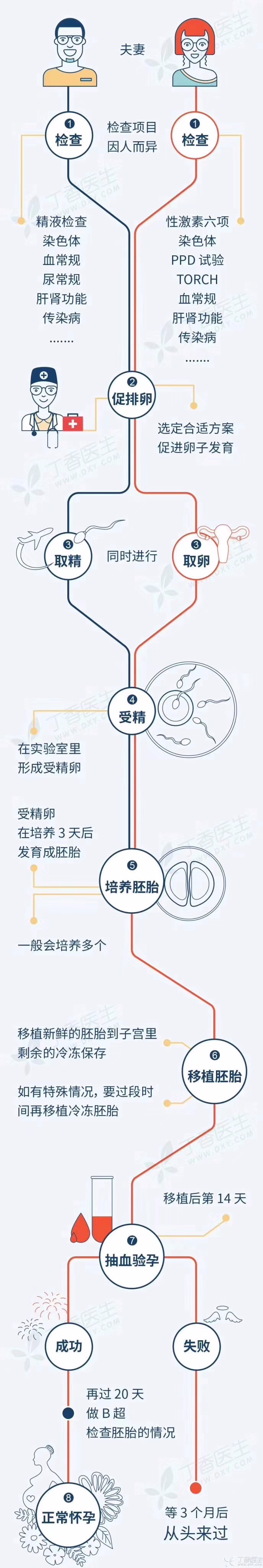 试管婴儿一般流程