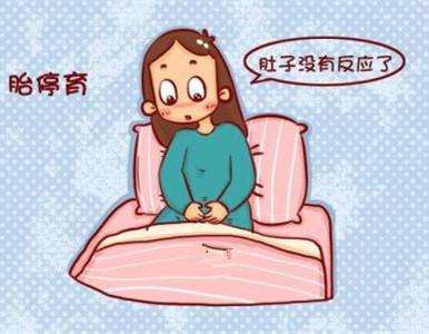 是什么导致的胚胎停育？会导致不孕