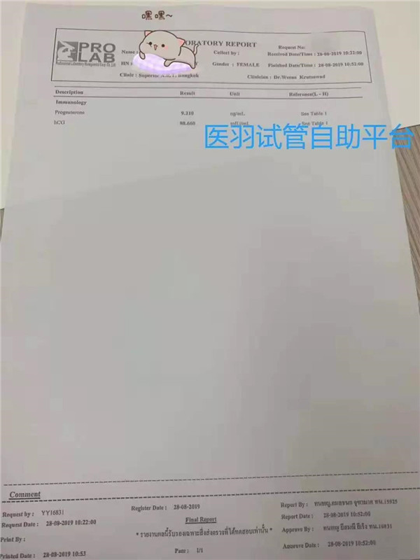 泰国试管婴儿好孕喜报