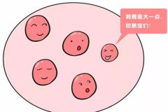 试管婴儿促排卵过程详细讲解，后悔